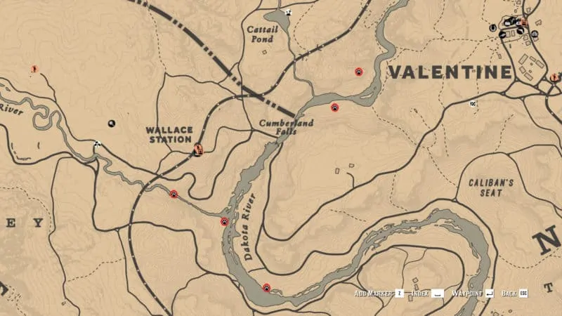 The Naturalist Role Guide