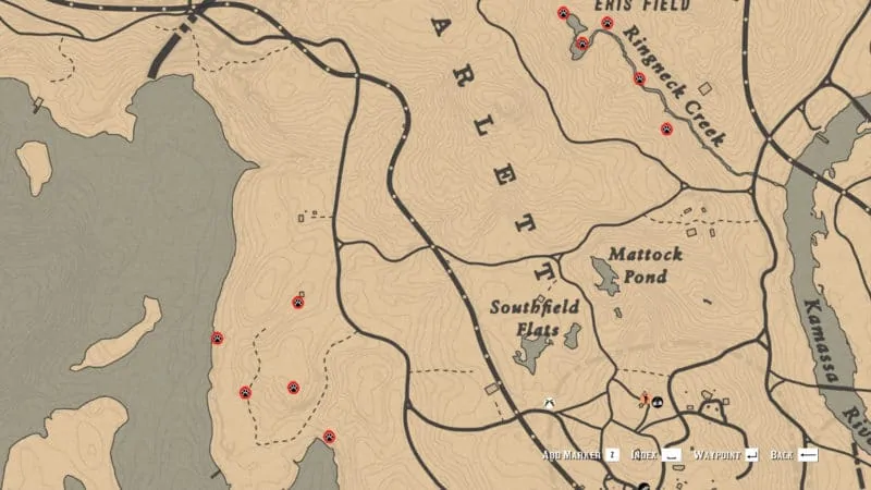 The Naturalist Role Guide