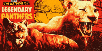 Halloween Comes To Red Dead Online With New Content, Event, Items