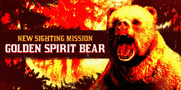 Boar Vitalism Study And Golden Spirit Bear Available In Red Dead Online This Week
