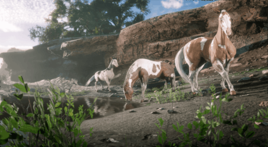 How To Gain Weight Quickly Rdr 2