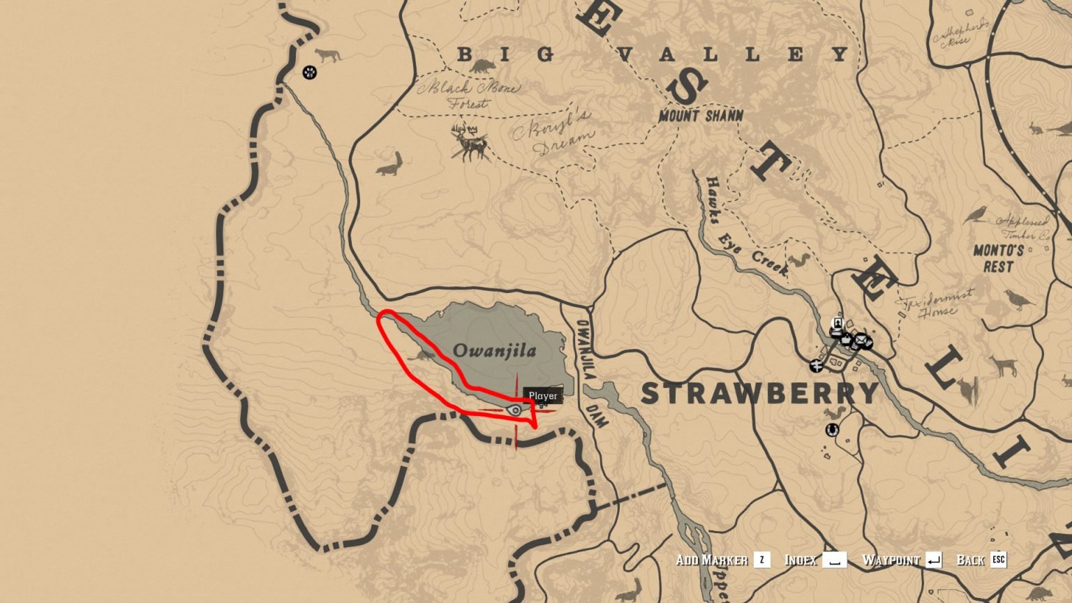 Best Locations for Perfect Beaver Pelts